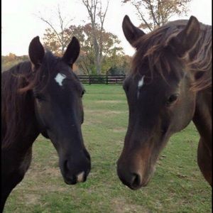 Meet your Posher, Denise